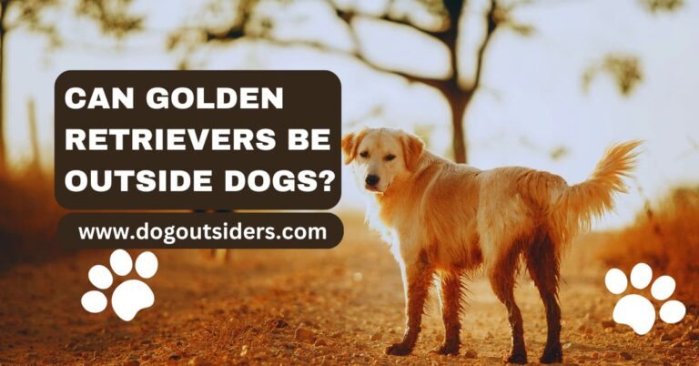 Can Golden Retrievers be outside dogs