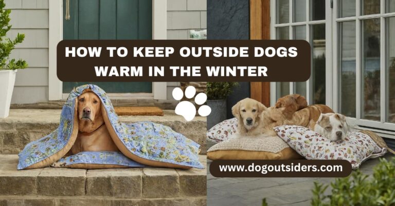 how to keep outside dogs warm in the winter