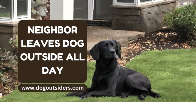 neighbor leaves dog outside all day