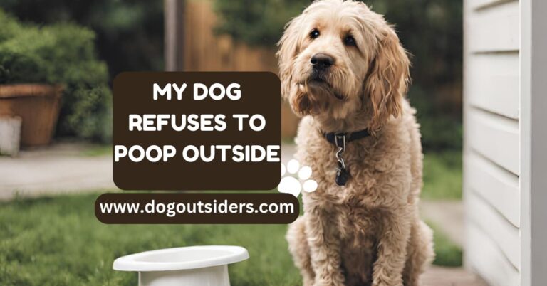 my dog refuses to poop outside