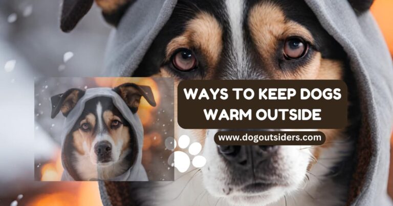 Ways to Keep Dogs Warm Outside: 10 Essential Tips