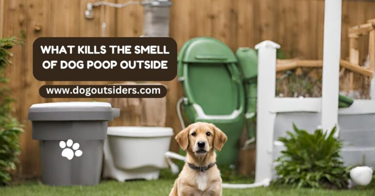 What kills the smell of dog poop outside