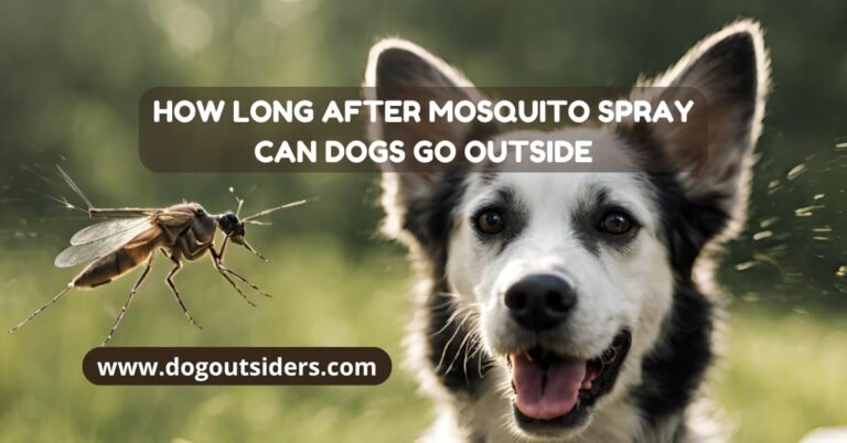 How long after mosquito spray can dogs go outside