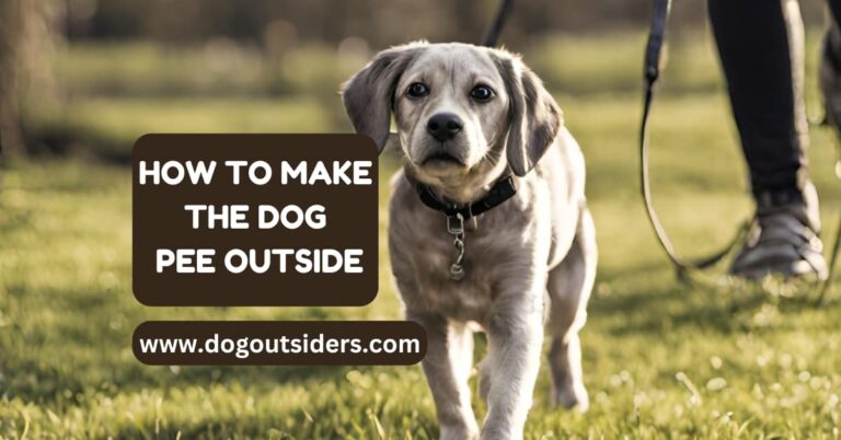 how to make the dog pee outside