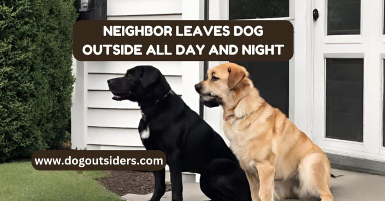 neighbor leaves dog outside all day and night