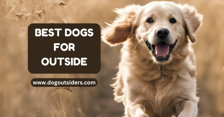 best dogs for outside