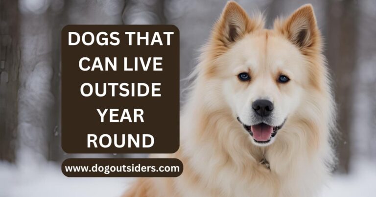 dogs that can live outside year round