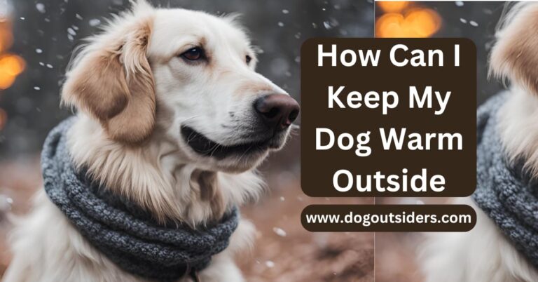 How Can I Keep My Dog Warm Outside: 10 Cozy Tips