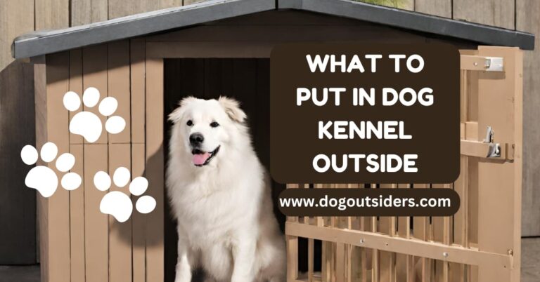 what to put in dog kennel outside