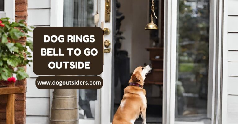 Dog rings bell to go outside