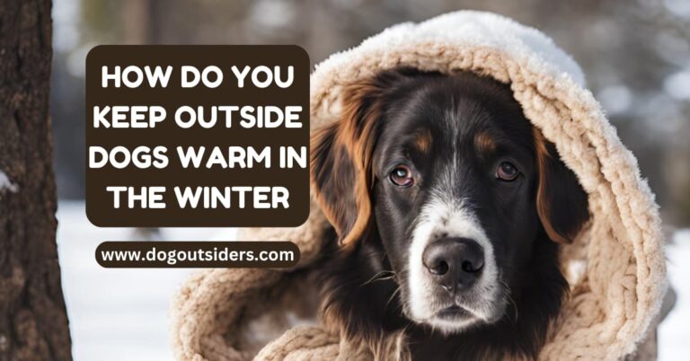 how do you keep outside dogs warm in the winter