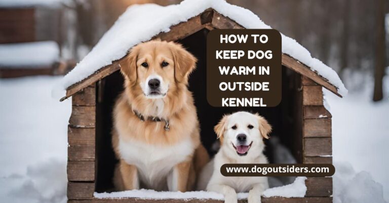 How to keep dog warm in outside kennel