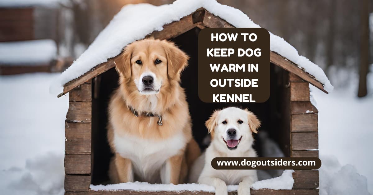 How to Keep Dog Warm in Outside Kennel: Top Tips - Dog Outsiders