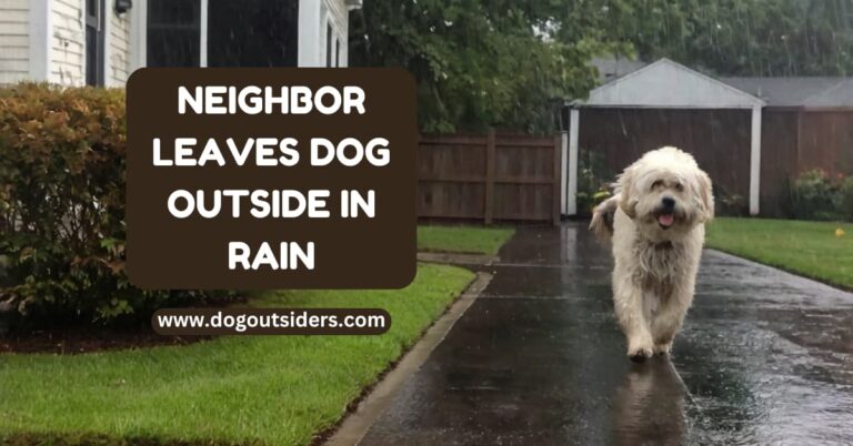 Neighbor leaves dog outside in rain