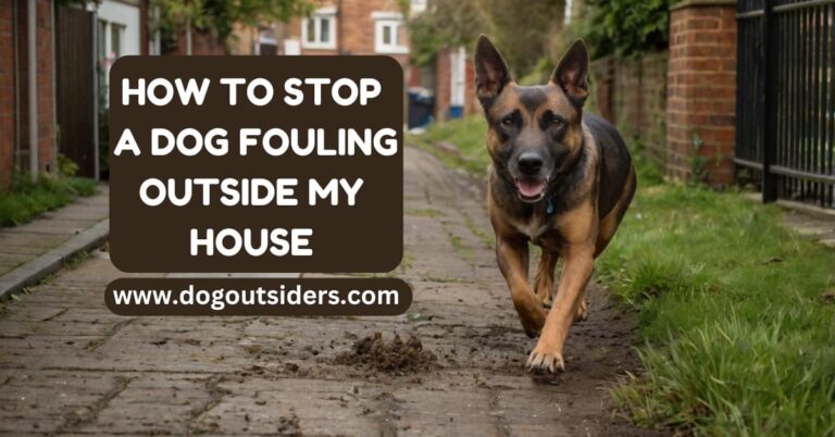 How to Stop a Dog Fouling Outside My House: Prevention Tips