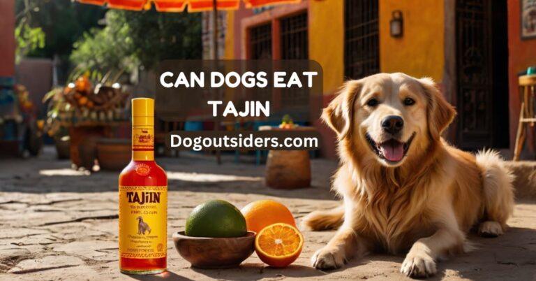 Can dogs eat tajin