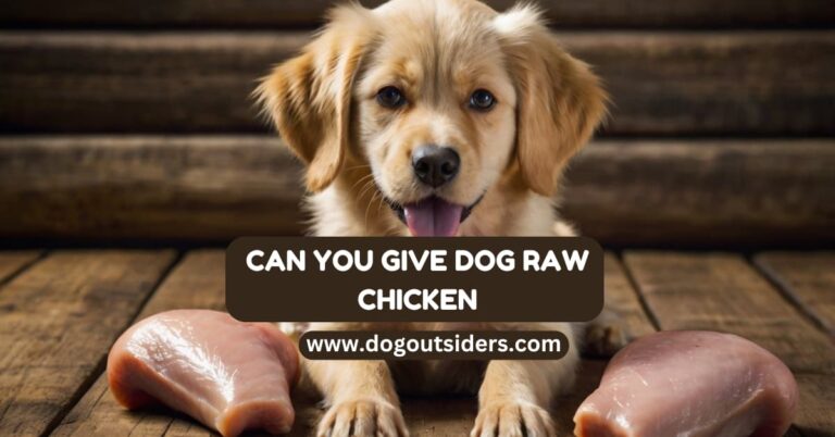 can you give dog raw chicken?