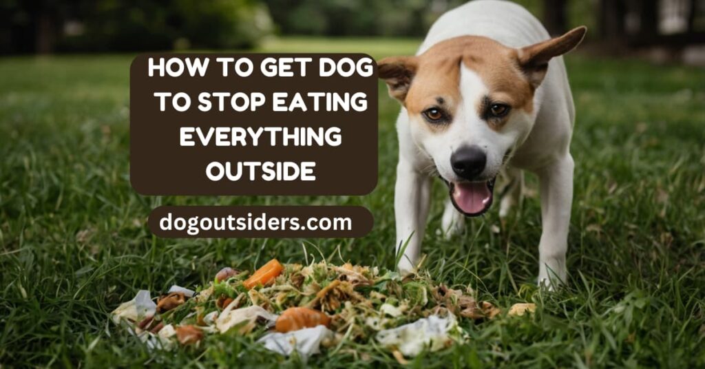 how to get dog to stop eating everything outside