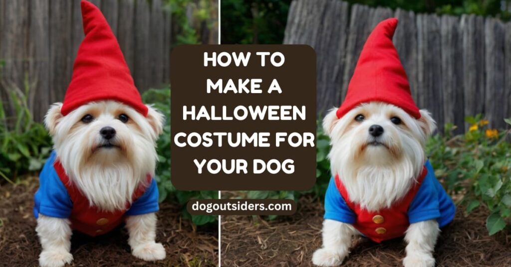 How to make a Halloween costume for your dog