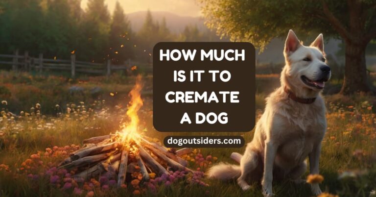 How much is it to cremate a dog