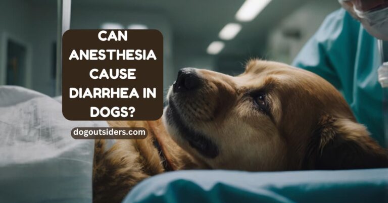 Can anesthesia cause diarrhea in dogs