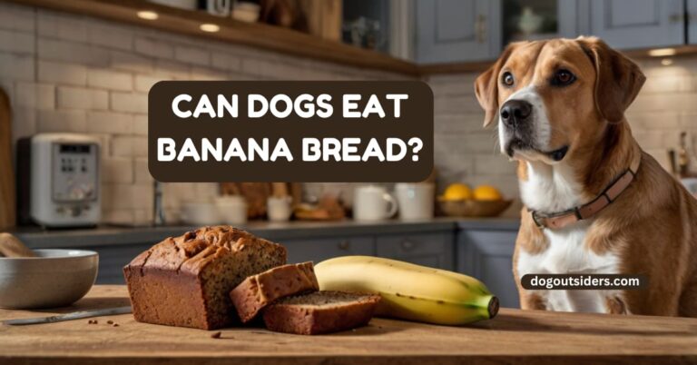 Can dogs eat banana bread