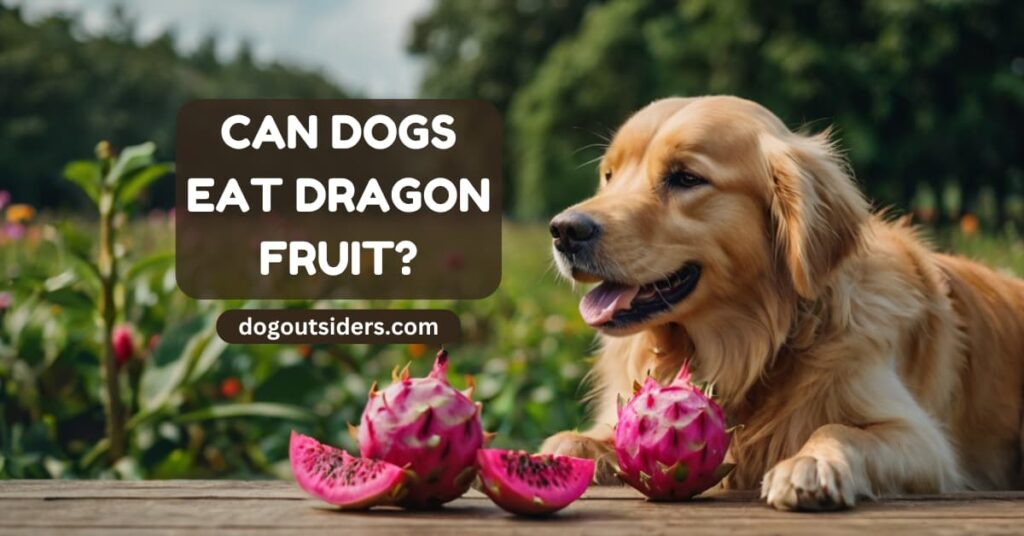 Can dogs eat dragon fruit