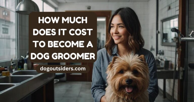 How much does it cost to become a dog groomer