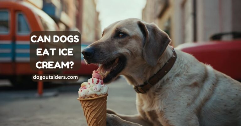 Can dogs eat ice cream