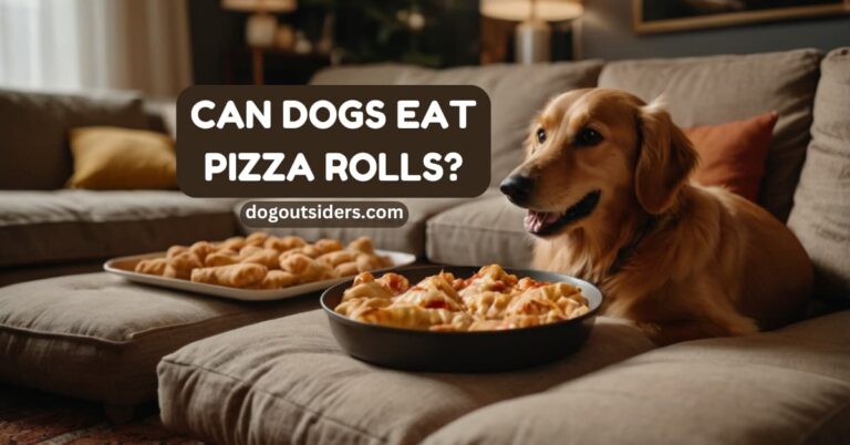 Can dogs eat pizza rolls