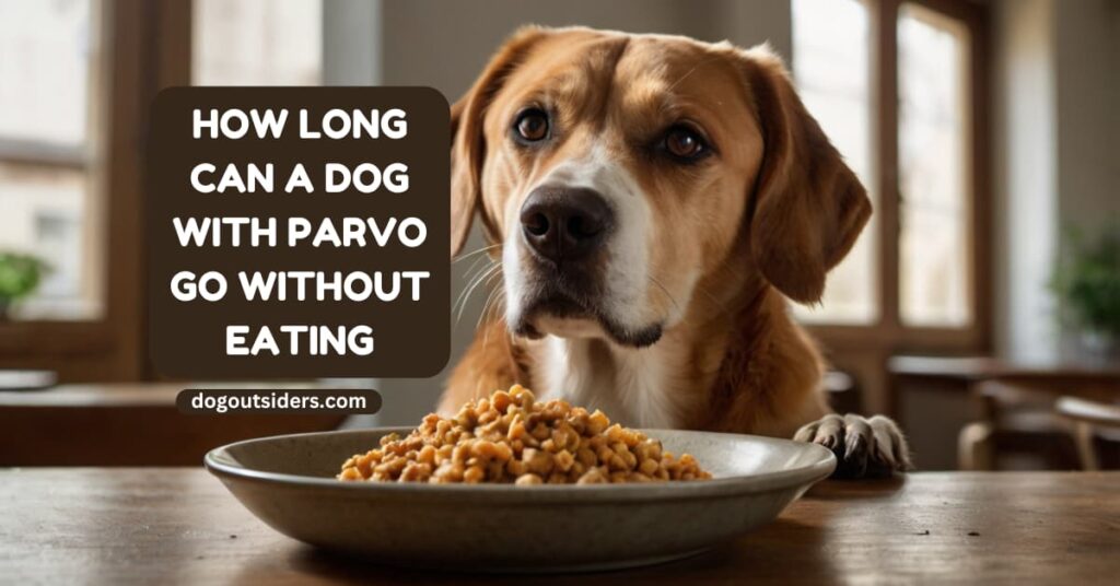 How Long Can a Dog with Parvo Go Without Eating