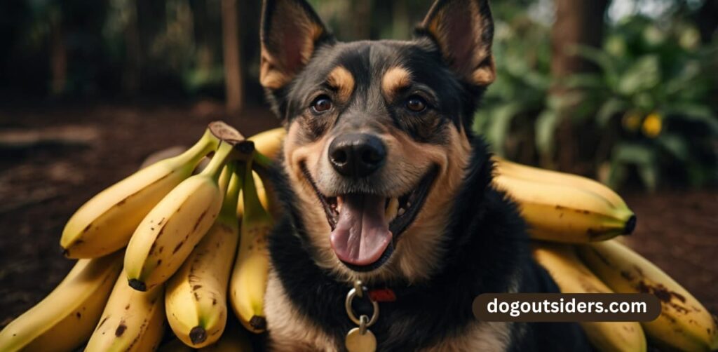 Are Bananas Safe for Dogs?