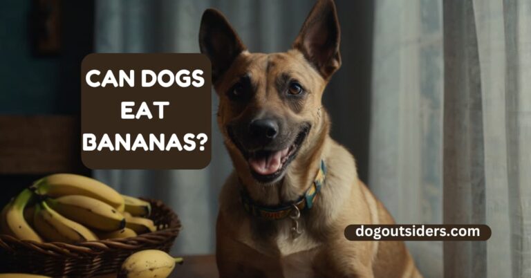 Can dogs eat bananas