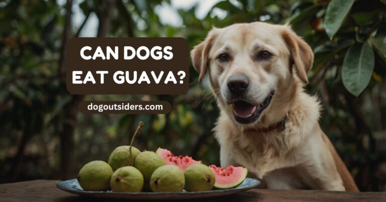 Can dogs eat guava