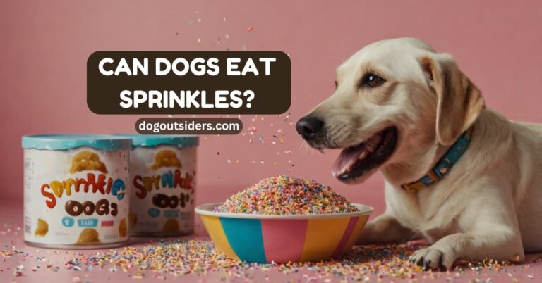 Can dogs eat sprinkles