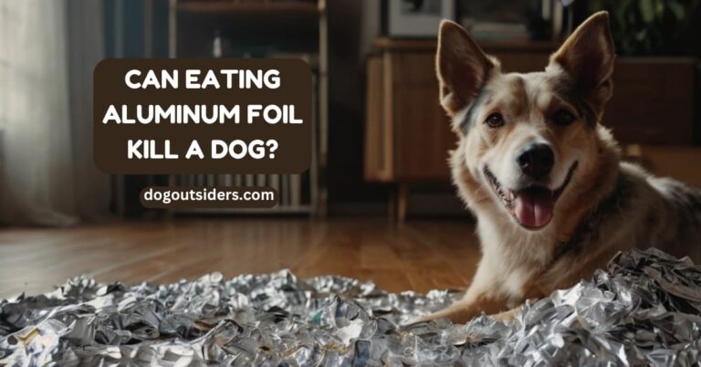 Can eating aluminum foil kill a dog