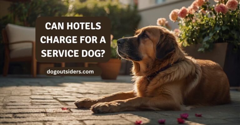 Can hotels charge for a service dog