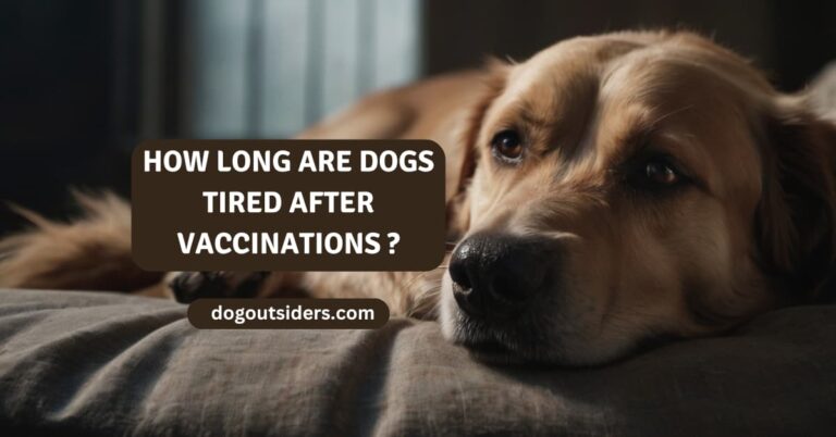 How long are dogs tired after vaccinations