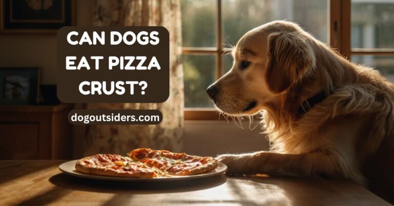 Can dogs eat pizza crust