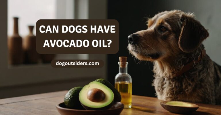 Can dogs have avocado oil