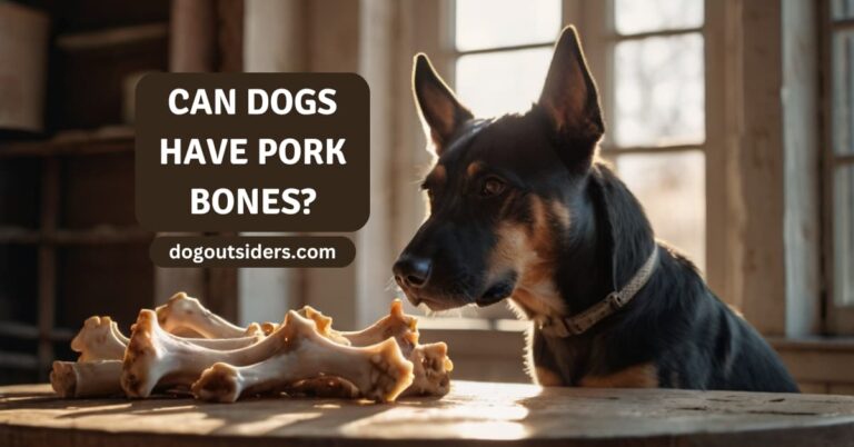 Can dogs have pork bones