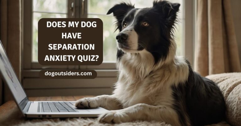 Does my dog have separation anxiety quiz