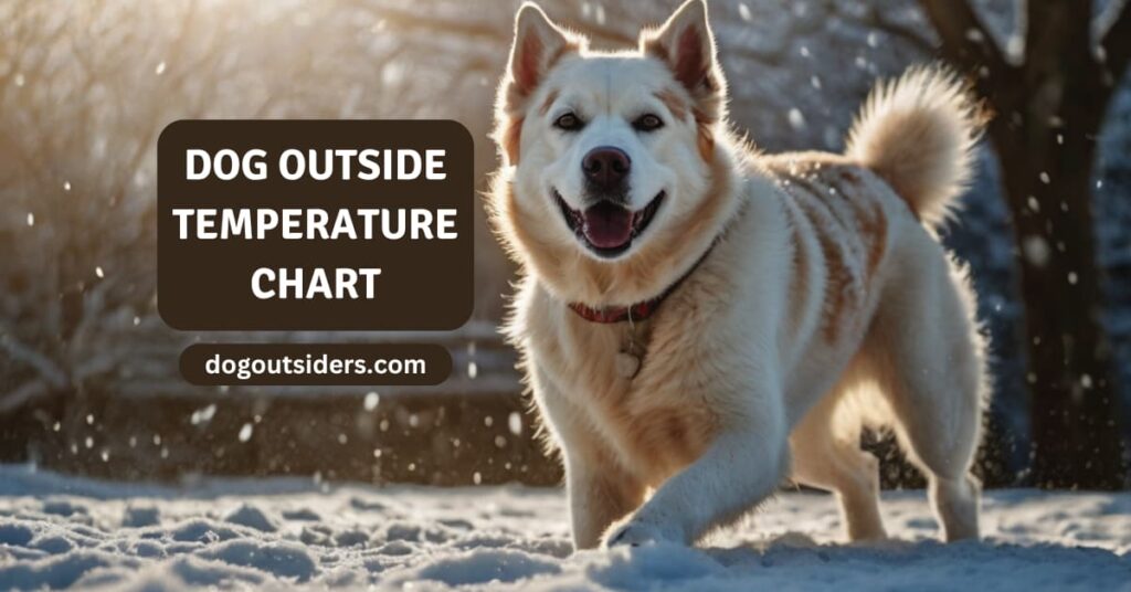 Dog outside temperature chart