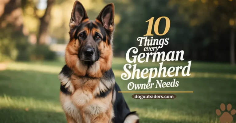10 things every german shepherd owner needs