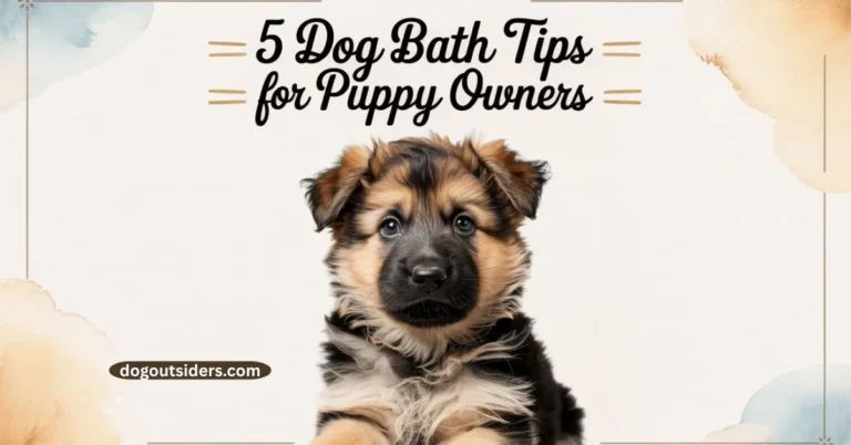5 dog bath tips for puppy owners