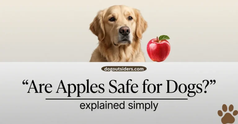 are apples safe for dogs